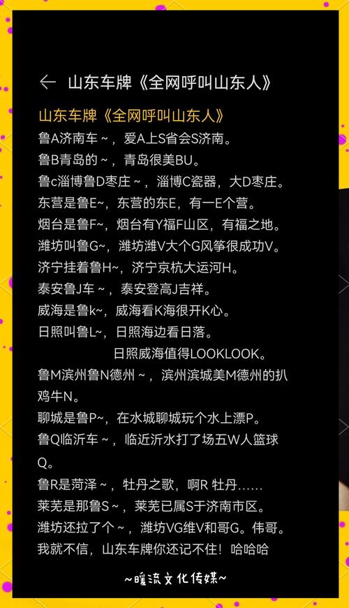山东车牌靓号,梦想启程的专属印记
