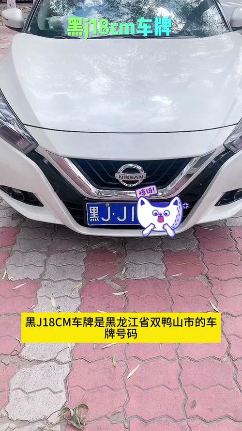 东北车牌靓号,独特魅力等你来寻