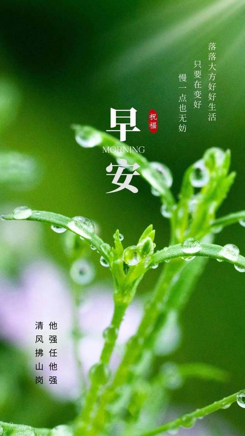 滕州车牌新能源靓号,传承绿色梦想,号码等你来揭晓