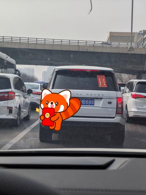 成都车牌88888”惊现街头,车主喜提人生巅峰!
