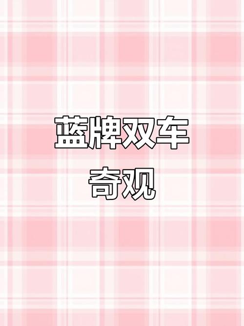 濮阳车牌靓号3333:车牌中的吉祥物