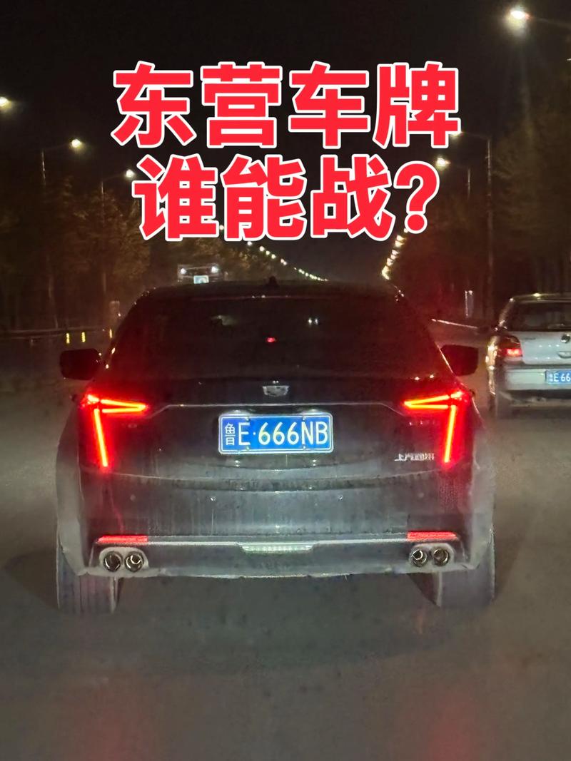 东营车牌靓号贩子:车牌号背后的疯狂交易!