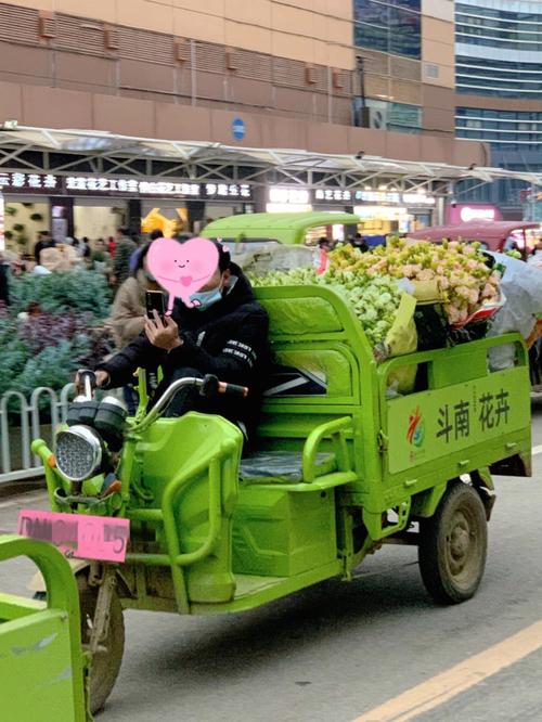 上海三轮电动车牌照争夺战:谁将赢得这场绿色出行新战场的入场券?