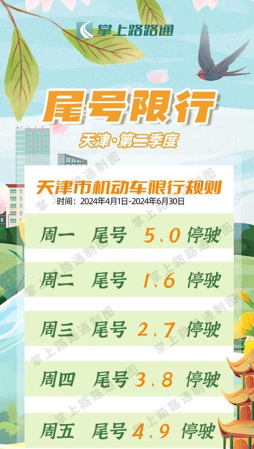 南宁车牌靓号限行新规引发热议,车主们该如何应对?