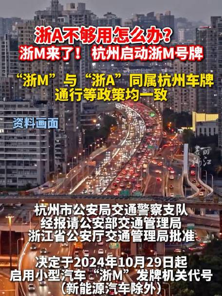 浙M车牌背后,竟隐藏着这样的城市秘密!