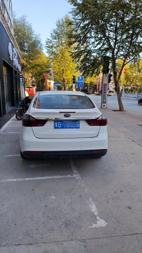 外地车牌为何备受争议:其背后的隐忧与不便
