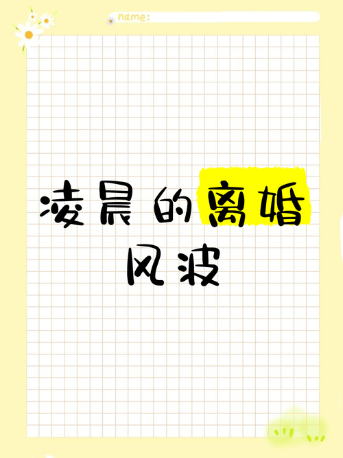 车牌分割,离婚风波再掀波澜!