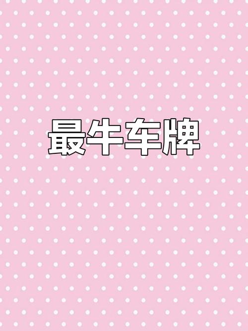 惊遇车牌靓号,路遇吉祥,好运连连!