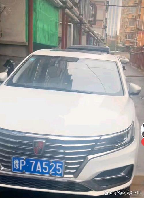 周口车牌靓号价格飙升,热门靓号竟达天价!”