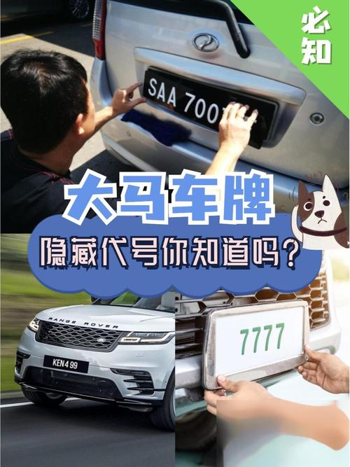 车牌JS开头:神秘车牌背后的热门话题