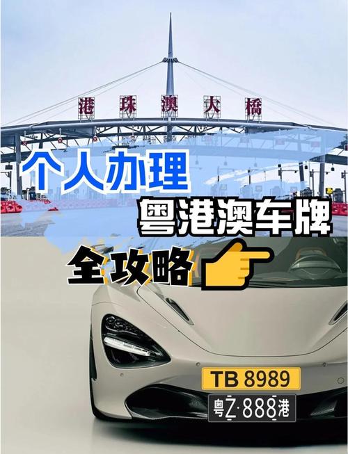 湛江车牌靓号竞拍:探寻幸运与梦想的交汇点