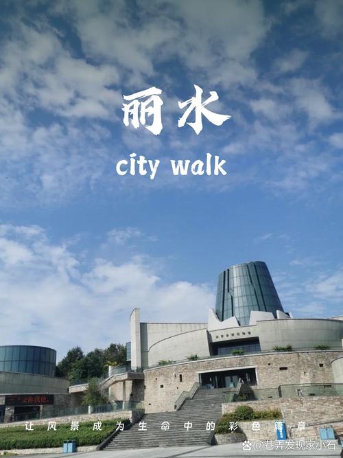 丽水市车牌靓号:一抹独特风情,见证城市活力