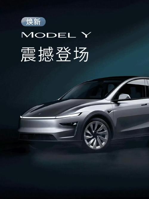 Model Y车牌选号,抢鲜特斯拉最新车型个性定制!。