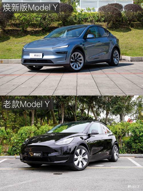 Model Y车牌选号,抢鲜特斯拉最新车型个性定制!。