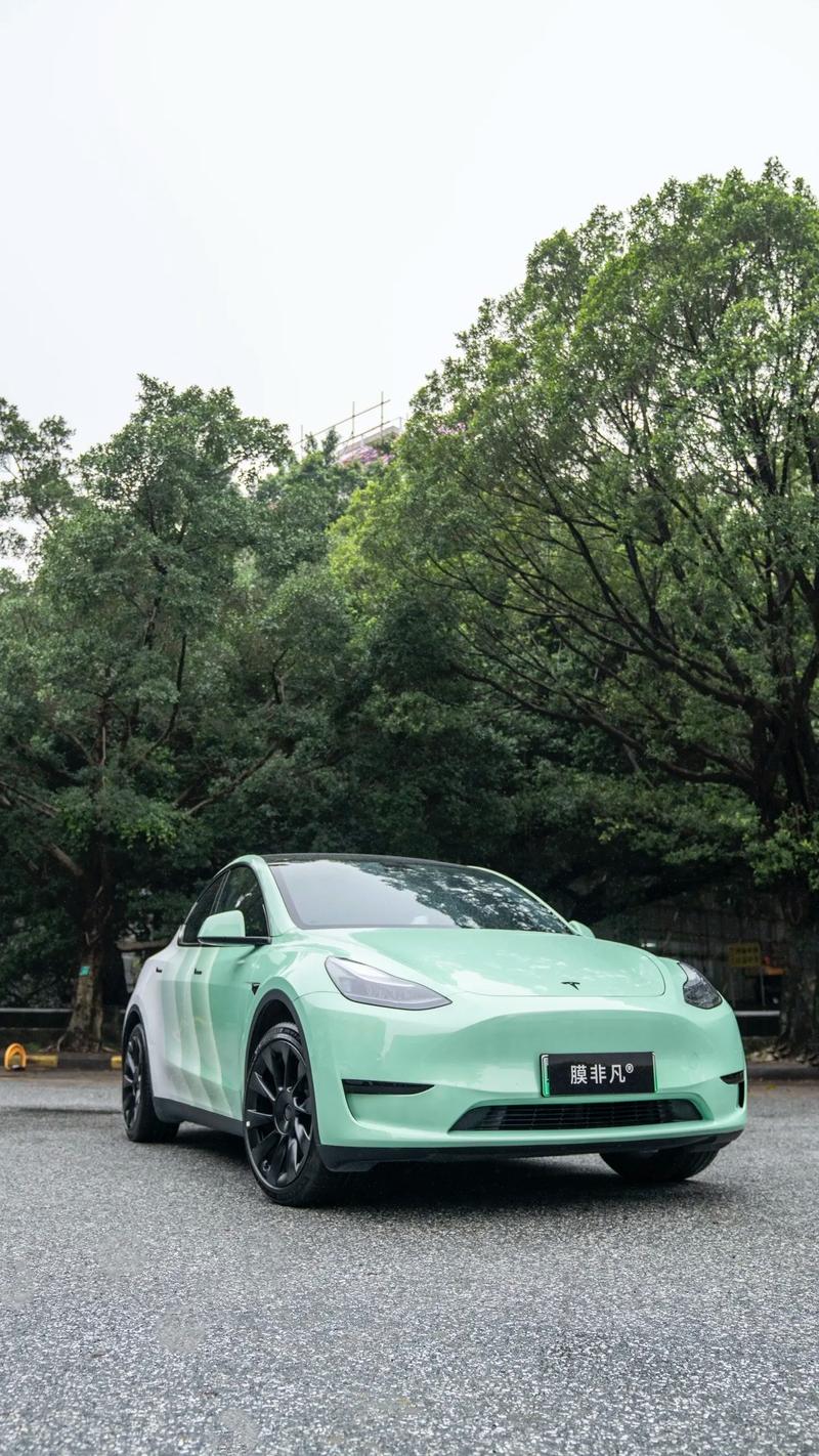 Model Y车牌选号,抢鲜特斯拉最新车型个性定制!。