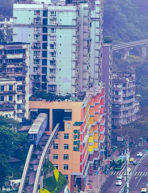 渝D靓号,重庆街头的一道风景线
