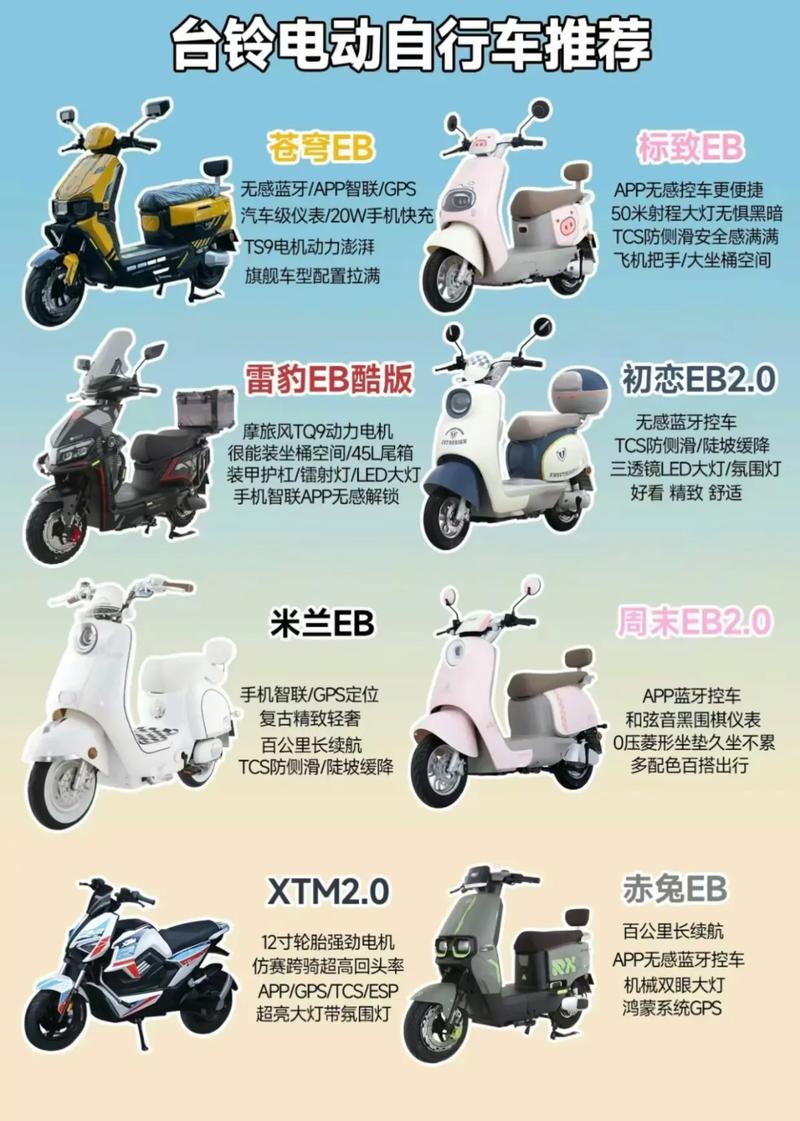 台铃电动车车牌安装攻略:轻松上牌,畅行无忧!