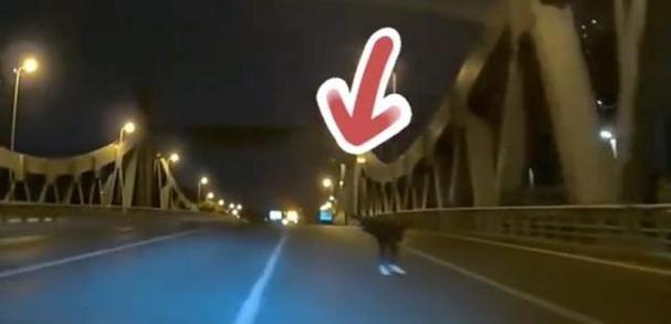 阿荣旗冯方祥车牌号引发热议:神秘车主背后的故事!