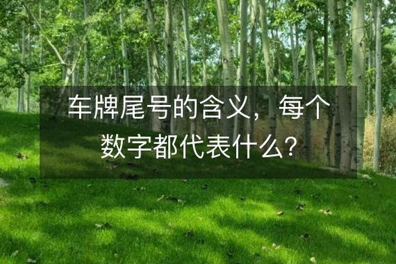 车牌号尾号0:是幸运还是尴尬,热议不断!