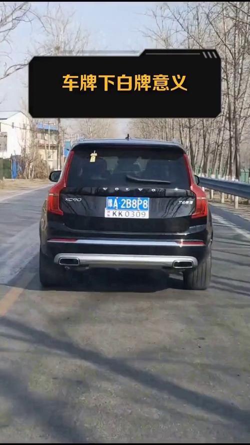 车牌号22L好吗:独特车牌引发网友热议,其背后的故事