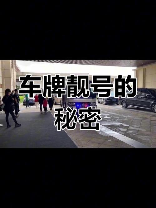 探寻泰安车牌靓号背后的故事:神秘出租电话曝光