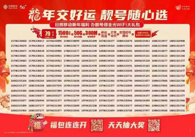 日照车牌靓号,价格之谜:背后故事
