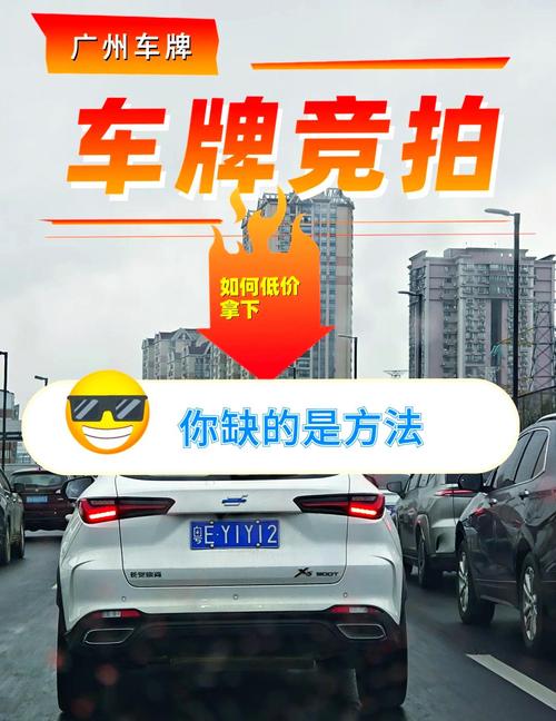 车牌靓号竞拍风云:一牌难求,谁主沉浮?