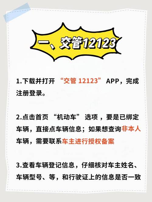 一键查询,车牌背后故事:车主信息大!