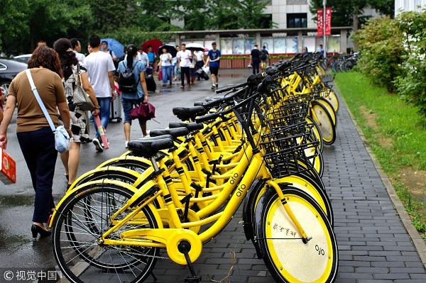 惊!网友质疑ofo:车牌号不存在,共享单车乱象何时休?