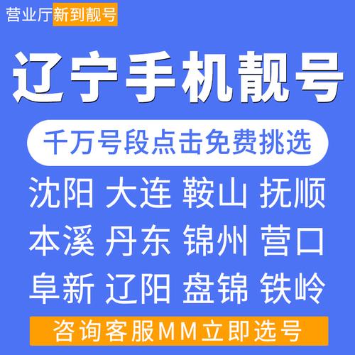 沈阳靓号车牌选号入口火爆开启,抢号大战一触即发!