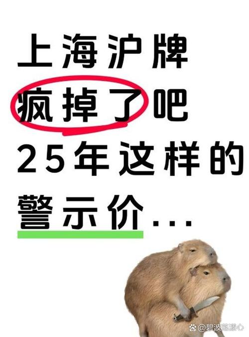 上海车牌价格狂飙,车主们心碎!