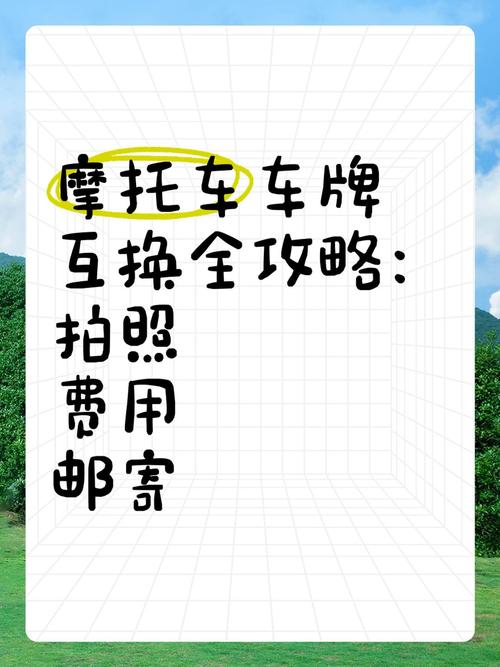轻松攻略:摩托车牌照办理全流程!
