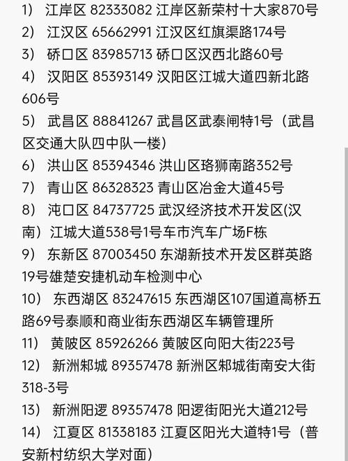 武汉车牌靓号放号规则揭晓,车牌新纪元即将开启