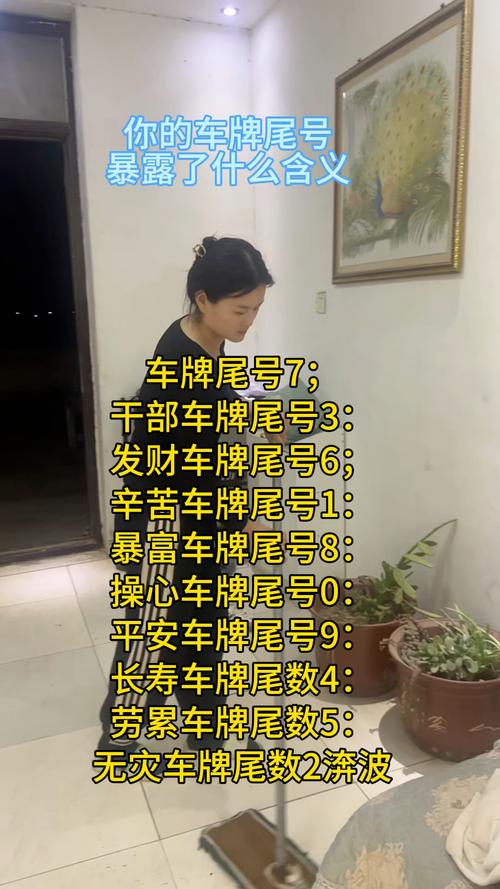 车牌尾号0:神秘魅力还是尴尬困扰?车牌号码背后的热议话题
