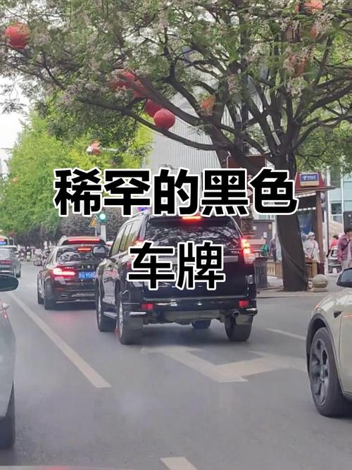 车牌号外字头引关注:我国稀有车牌背后的故事与价值
