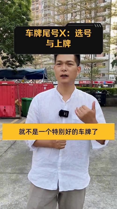 车牌号惊现神秘字母X,背后的神秘力量!