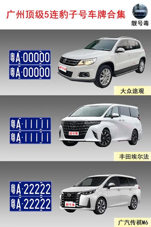 粤A到粤Z:探寻广东各城市车牌背后的故事与特色
