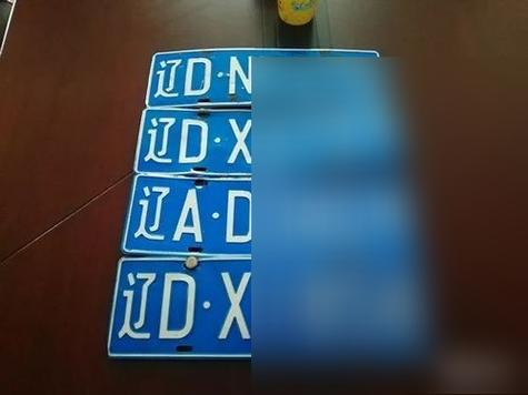 蒙D车牌:探寻这辆神秘车辆背后的故事