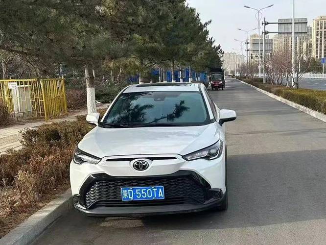 蒙D车牌:探寻这辆神秘车辆背后的故事