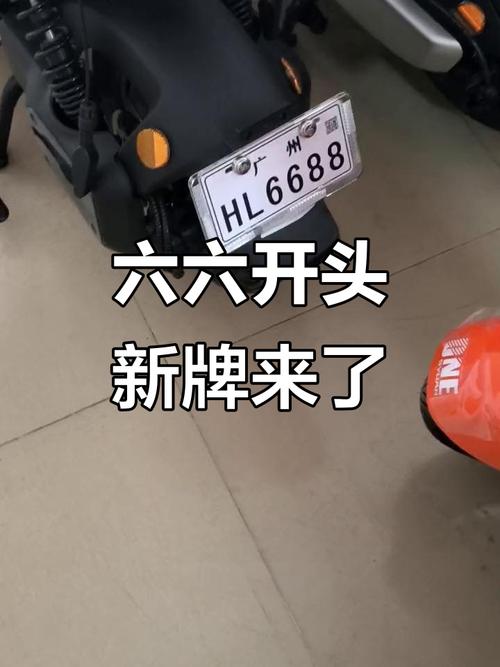 新国标车牌靓号抢眼亮相,车牌文化新风尚