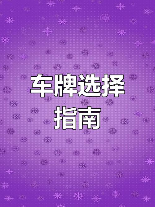 遥控电磁车牌价格大:性价比之选,你值得拥有!