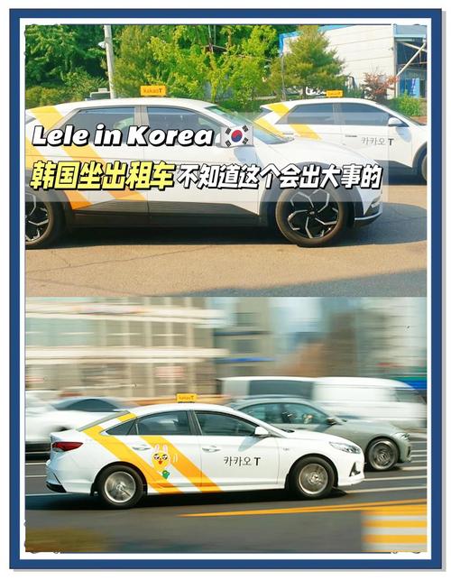 一秒查询,你的出租车车牌号背后故事!