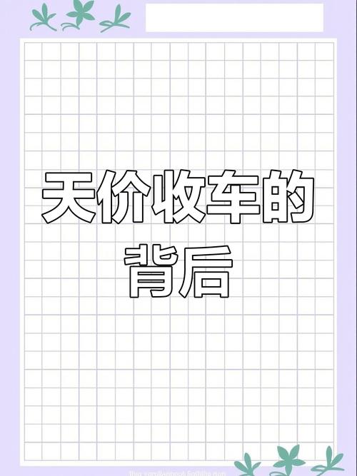 农村车牌靓号竟卖出天价,背后的故事令人咋舌