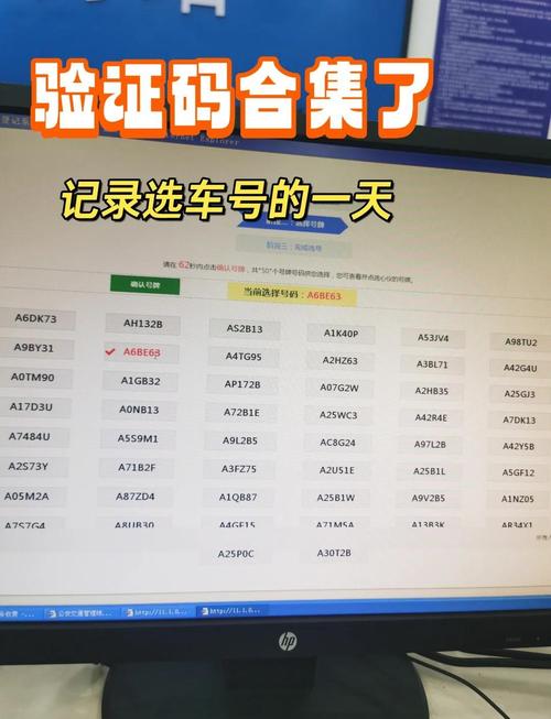 探寻山东车牌靓号:选号背后的神秘流程