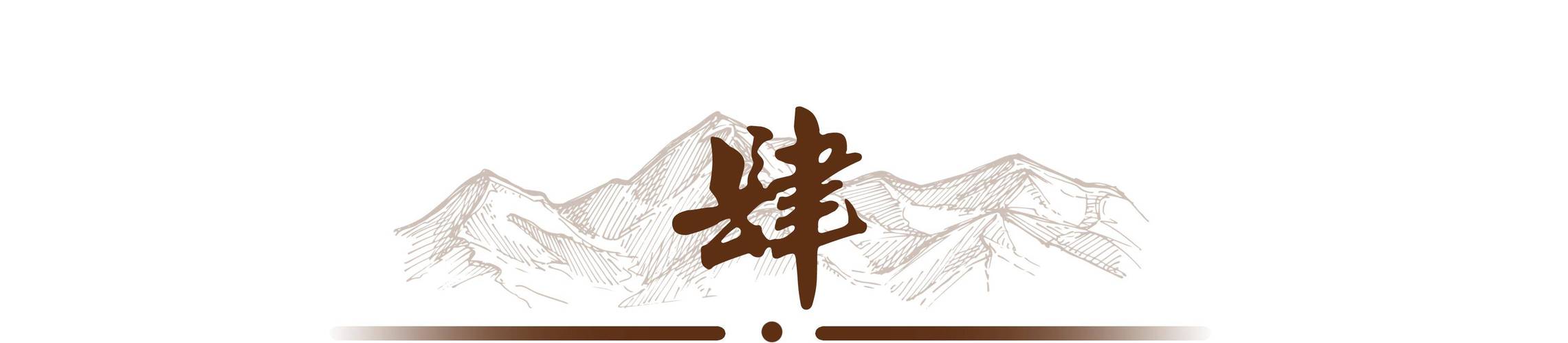 海外归来车牌靓号不翼而飞,背后真相引人深思