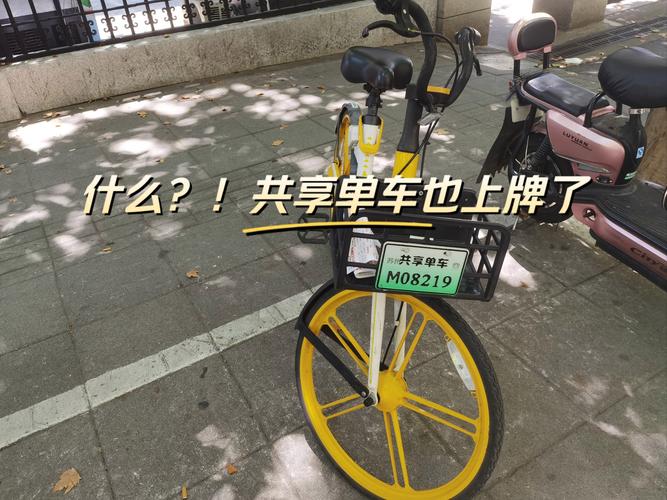 误打车牌号,保险单车成网红!