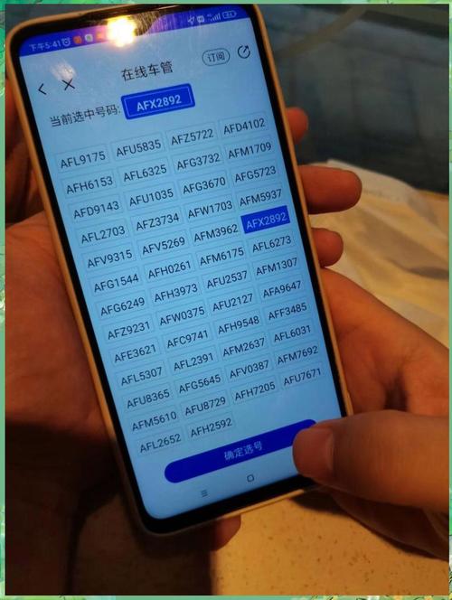 车牌号新潮流:一串数字打造个性标签,快来抢注!