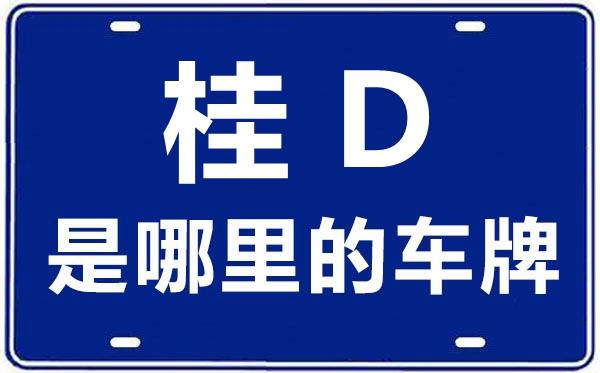 桂D车牌背后,广西南宁独特车牌文化