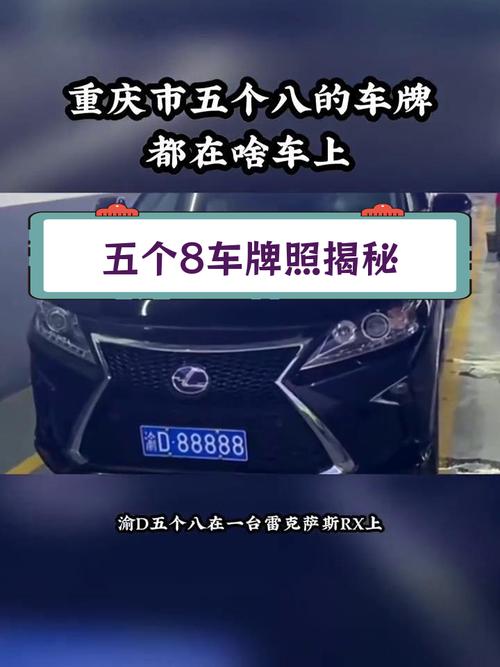 山城重庆,靓号车牌藏故事,探寻车牌背后的传奇