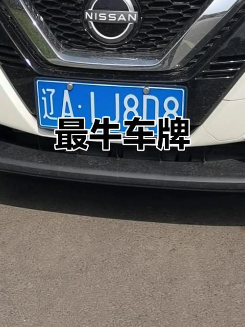 佛山车牌号靓号背后的故事:车牌文化魅力绽放